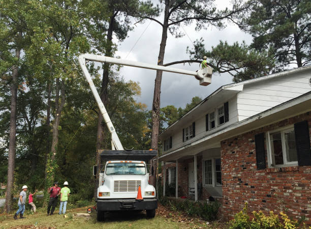 Best Hazardous Tree Removal  in Orida Ridge, FL