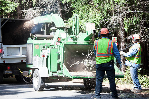 Best Storm Damage Tree Cleanup  in Orida Ridge, FL